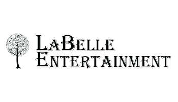 Website Development for Entertainment Businesses