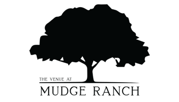 Website Development for Wedding Venues